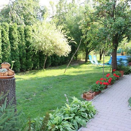 Belusa Privat Cerenica 아파트 외부 사진